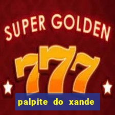 palpite do xande de hoje